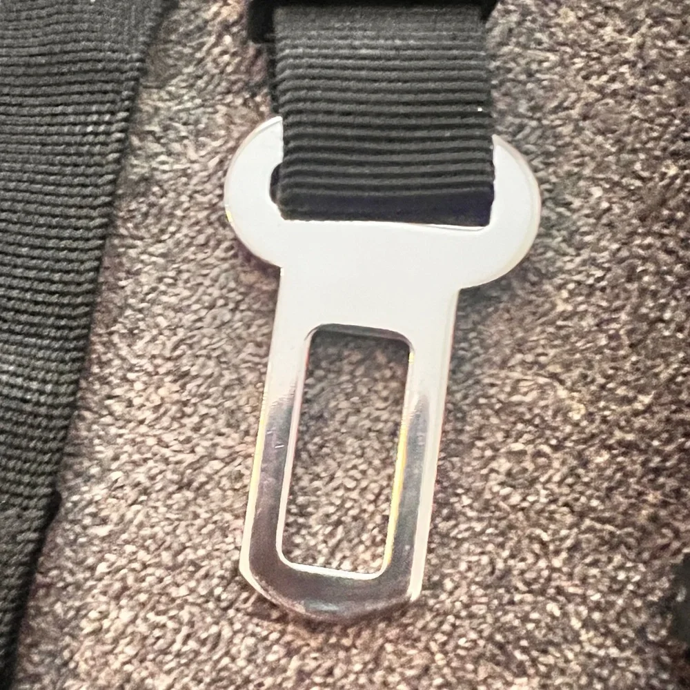 Dog Seatbelts for Small or Large Breeds